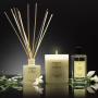 Подарочный арома-набор Cerería Mollá 1899 Tuberose & Jasmine Gift Set SET3C-TJ. фото 2