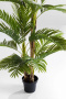Искусственное растение KARE Deko Pflanze Palm Tree 51789. фото 14