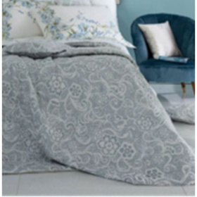 Одеяло-покрывало Blumarine Visconti Cotone Coperta-copriletto argento BLM/440465