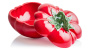 Супница Bordallo Pinheiro Tomato Tureen 65007140. фото 4
