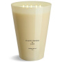 Ароматическая свеча Cerería Mollá 1899 Boutique Black Orchid & Lily 3XL Scented Candle X5004. фото 1