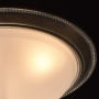 Потолочный светильник MW-Light Ariadne Ceiling Lamp 450015503. фото 7