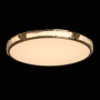 Потолочный светильник De Markt Reeves Ceiling Lamp 674017601. фото 6