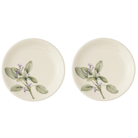 2 десертные тарелки Nuova Cer Rosemary Piatto dessert 9120/4-2RSM