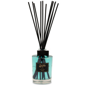 Ароматический диффузор Teatro Fragranze Uniche Vento di Mare Transparent Diffuser VM3000VTRTFU