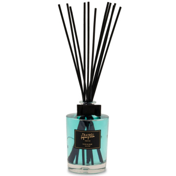 Ароматический диффузор Teatro Fragranze Uniche Vento di Mare Transparent Diffuser VM3000VTRTFU