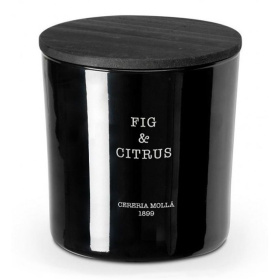 Ароматическая свеча Cerería Mollá 1899 Boutique Fig & Citrus XL Scented Candle 6647