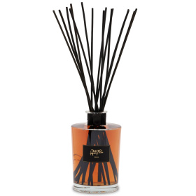 Ароматический диффузор Teatro Fragranze Uniche Incenso Imperiale Transparent Diffuser II3000VTRTFU