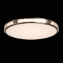 Потолочный светильник De Markt Reeves Ceiling Lamp 674017701. фото 2