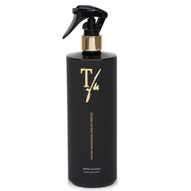 Ароматический спрей для дома Teatro Fragranze Uniche Nero Divino Gun Spray NDGUN500TFU
