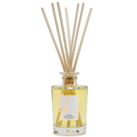 Ароматический диффузор Teatro Fragranze Uniche Borgo degli Agrumi Diffuser AG100TFU