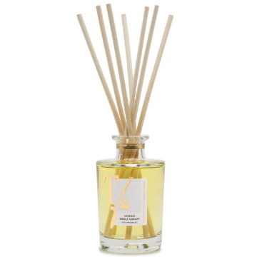 Ароматический диффузор Teatro Fragranze Uniche Borgo degli Agrumi Diffuser AG100TFU