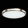 Потолочный светильник De Markt Reeves Ceiling Lamp 674017601. фото 4